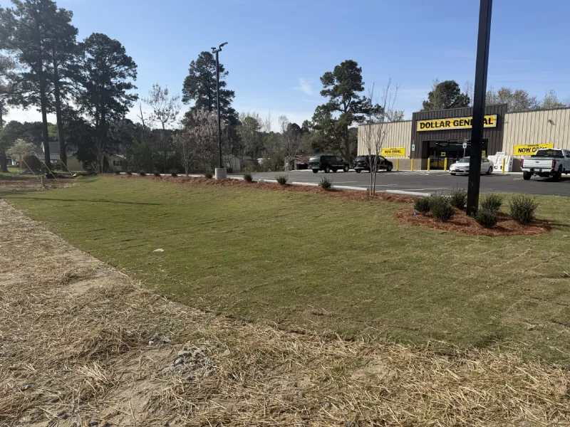 Commercial Landscape